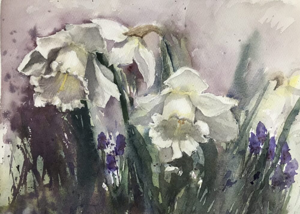 Narzissen • Aquarell auf Papier • 27 x 37 cm • 2023