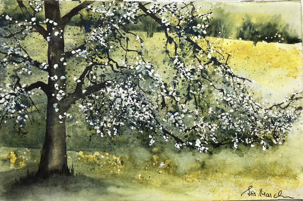Blühender Birnbaum • Aquarell auf Papier • 32 x 48 cm • 2022