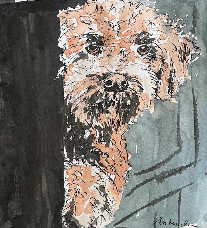 Balko • Tusche auf Papier • 21 x 26 cm • 2025