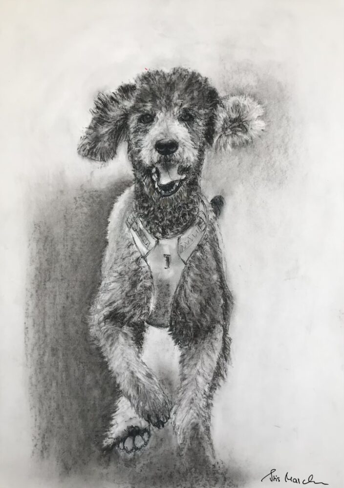 Jolie • Kohle auf Papier • 50 x 40 cm • 2023