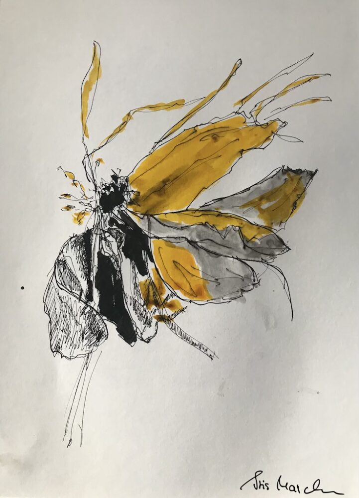 Welkende Blüte • Tusche auf Papier • 21 x 28 cm • 2023